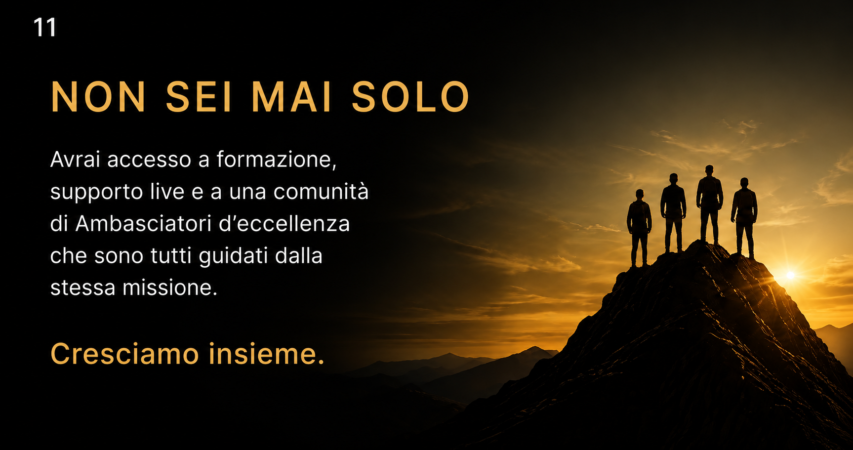 Immagine Pag11 1